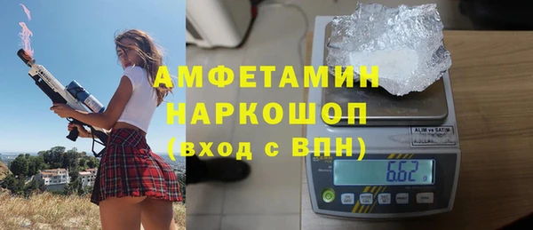 шишки Магас