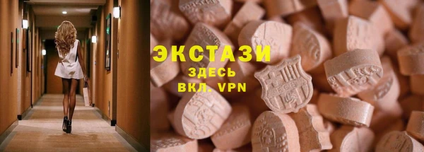 шишки Магас