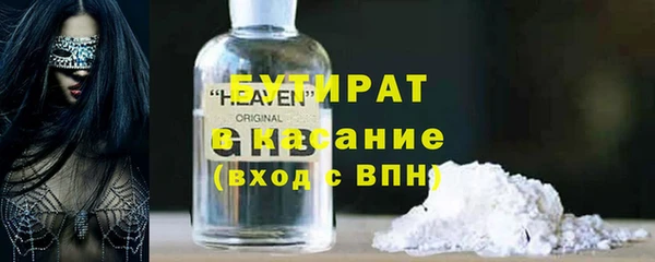 шишки Магас