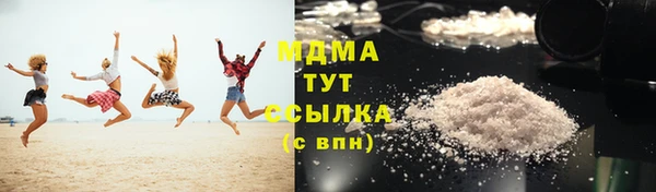 шишки Магас
