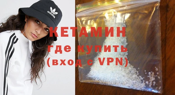 шишки Магас