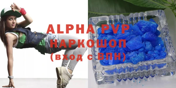 шишки Магас