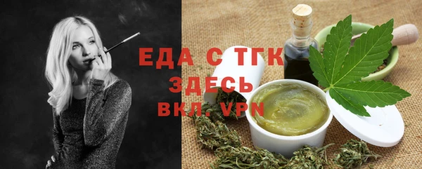 шишки Магас