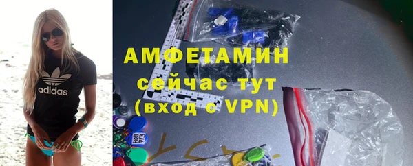 шишки Магас