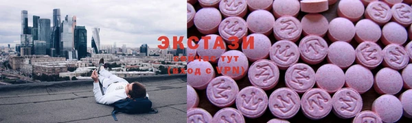 шишки Магас
