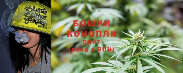 шишки Магас