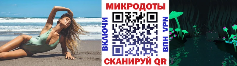 OMG tor  Шенкурск  Псилоцибиновые грибы GOLDEN TEACHER 
